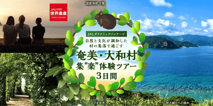 【ドローンプロジェクト】奄美・大和村の豊かな自然と文化を満喫するツアーの販売開始 – JAL