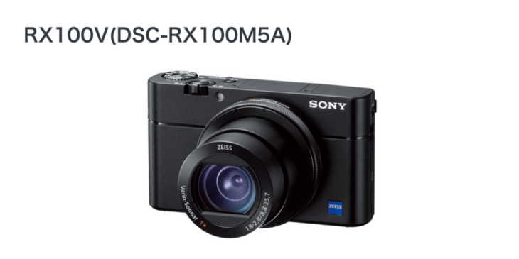 コンパクトデジタルカメラ｢SONY RX100V｣のおすすめSDカードと選び方を徹底解説