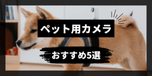 ペットに取り付けて撮影できる！人気おすすめアクションカメラ5選！犬・猫の撮影におすすめ