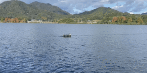 水上ドローンボートを用いた実証実験を実施 – 兵庫県と古野電気株式会社