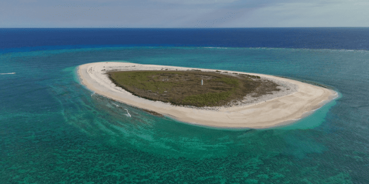 世界初！ドローンによる｢ハツカネズミ駆除｣への挑戦！ドローンが絶海の孤島を救う