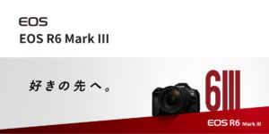 Canonのカメラ｢EOS R6 Mark III｣のおすすめSDカードと選び方を徹底解説