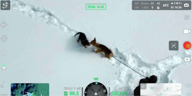 「迷子犬を救うドローン」を軍用と呼ぶ矛盾！FCC規制の影で失われる“家族”の命